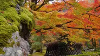 宝厳院の写真・動画_image_169167