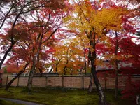 宝厳院の写真・動画_image_169177