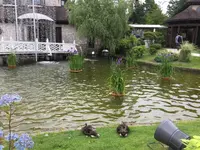 箱根ガラスの森美術館の写真・動画_image_169287