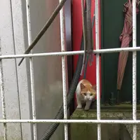 田むら銀かつ亭の写真・動画_image_169291