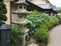 田むら銀かつ亭の写真・動画_image_169292