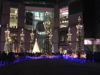 カレッタ汐留の写真・動画_image_169345
