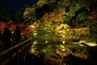 徳川園の写真・動画_image_169518