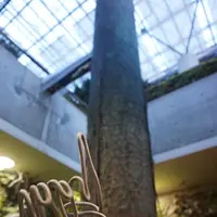 奇跡の星の植物館の写真・動画_image_169566