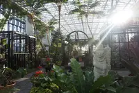 奇跡の星の植物館の写真・動画_image_169571