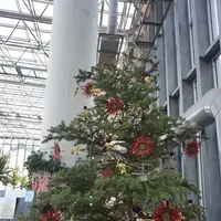 奇跡の星の植物館の写真・動画_image_169578