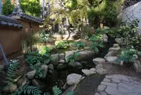 奇跡の星の植物館の写真・動画_image_169579