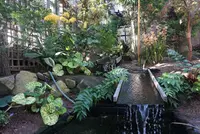奇跡の星の植物館の写真・動画_image_169580