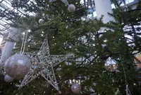 奇跡の星の植物館の写真・動画_image_169582