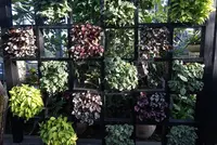 奇跡の星の植物館の写真・動画_image_169584