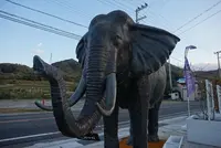 淡路島 クラフトマルシェの写真・動画_image_169590