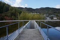 本福寺の写真・動画_image_169597