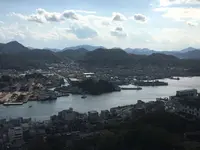 千光寺の写真・動画_image_169816