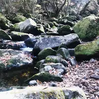 マゼノ渓谷の写真・動画_image_170022