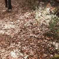 マゼノ渓谷の写真・動画_image_170023