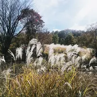 マゼノ渓谷の写真・動画_image_170036