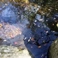 マゼノ渓谷の写真・動画_image_170043