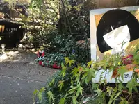 いこい旅館の写真・動画_image_170081