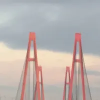 伊勢湾岸自動車道の写真・動画_image_170155