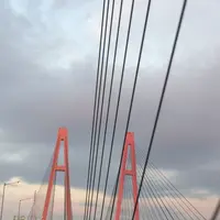 伊勢湾岸自動車道の写真・動画_image_170156