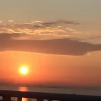 伊勢湾岸自動車道の写真・動画_image_170159