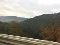 名阪国道 板屋 ICの写真・動画_image_170165