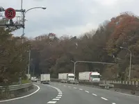 伊賀一之宮 敢国神社の写真・動画_image_170176