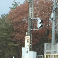 道の駅 針テラスの写真・動画_image_170179