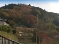 室生寺の写真・動画_image_170181