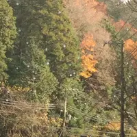 室生寺の写真・動画_image_170184