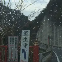 室生寺の写真・動画_image_170186