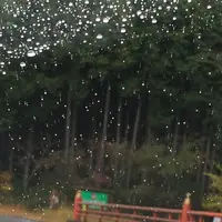 室生寺の写真・動画_image_170187
