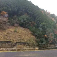 室生寺の写真・動画_image_170188