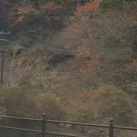 室生寺の写真・動画_image_170191