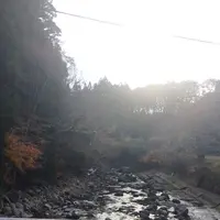 室生寺の写真・動画_image_170194