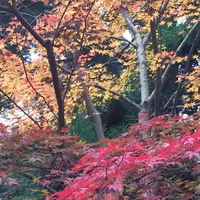 室生寺の写真・動画_image_170222