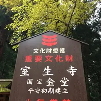室生寺の写真・動画_image_170228