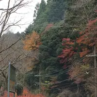 室生寺の写真・動画_image_170238