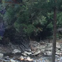 室生寺の写真・動画_image_170239
