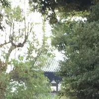 山上の多重塔の写真・動画_image_170357