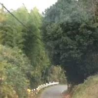 岩船寺の写真・動画_image_170400