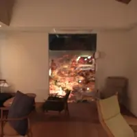 風の森の写真・動画_image_170458
