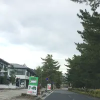 奈良ワシントンホテルプラザの写真・動画_image_170541