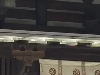法隆寺五重塔の写真・動画_image_170573