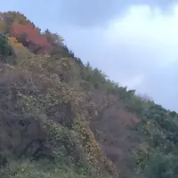 西名阪自動車道の写真・動画_image_170594