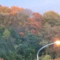 西名阪自動車道の写真・動画_image_170595