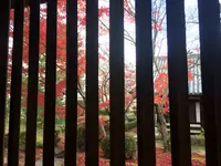 法隆寺の写真・動画_image_170601