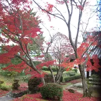 法隆寺の写真・動画_image_170602