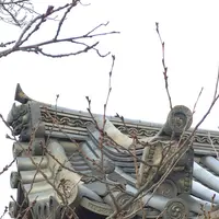 法隆寺の写真・動画_image_170623