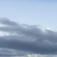 伊勢湾岸自動車道の写真・動画_image_170676